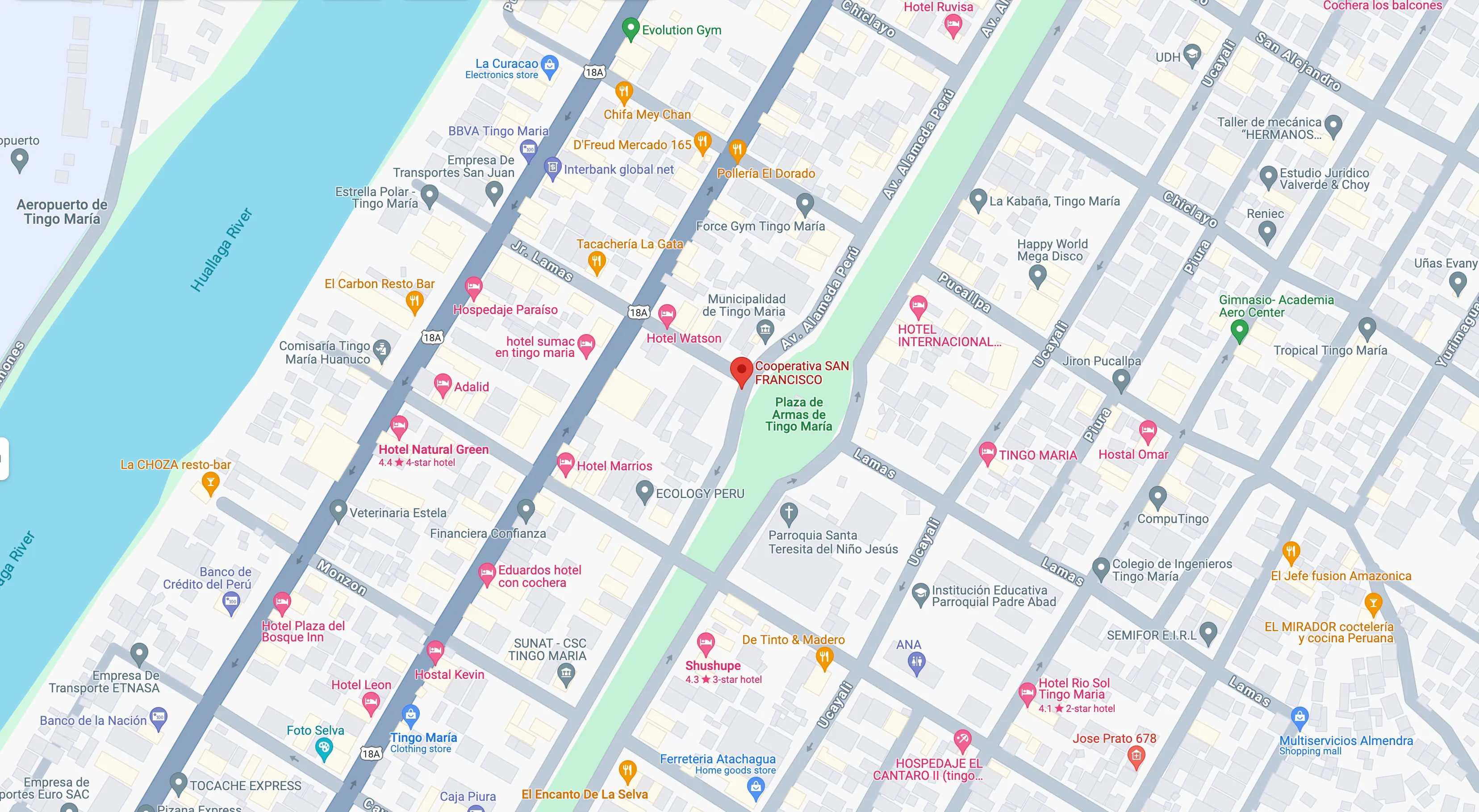 Mapa de referencia de Agencia Tingo María
